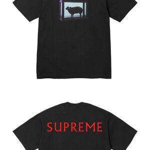 Supreme / Damien Hirst Tee “Black”